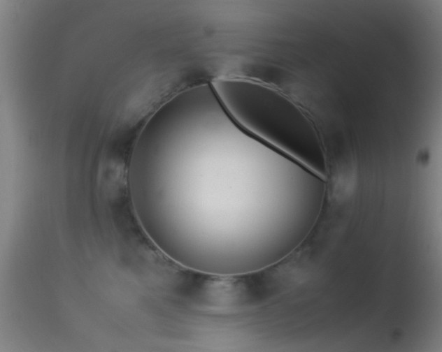 X0000113250521200909171628