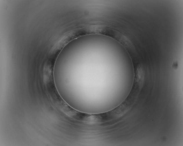 X0000113250522200909171628