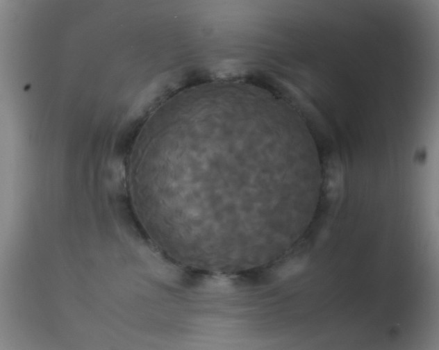 X0000113250523200909171628