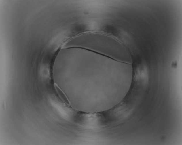 X0000113250524200909171628