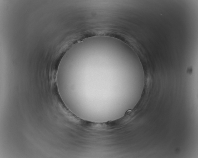 X0000113250525200909171628