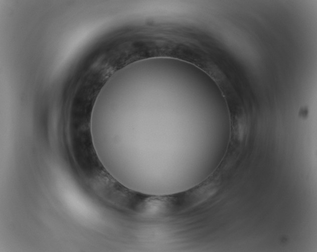 X0000113250526200909171628