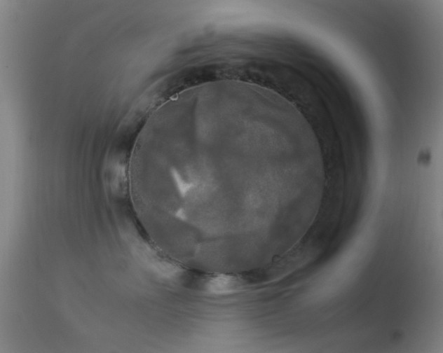 X0000113250527200909171628