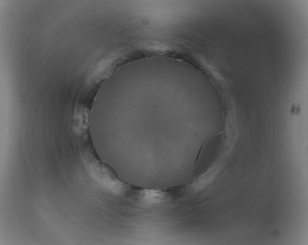 X0000113250528200909171628