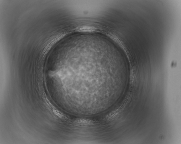 X0000113250529200909171627