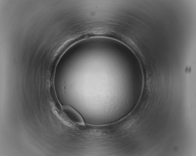 X0000113250530200909171627