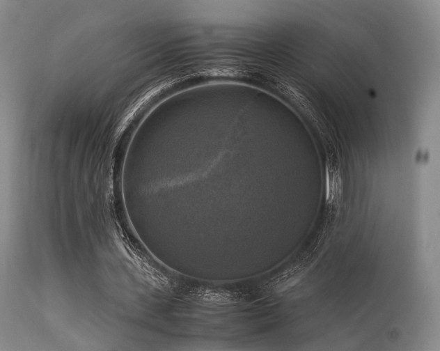 X0000113250531200909171627