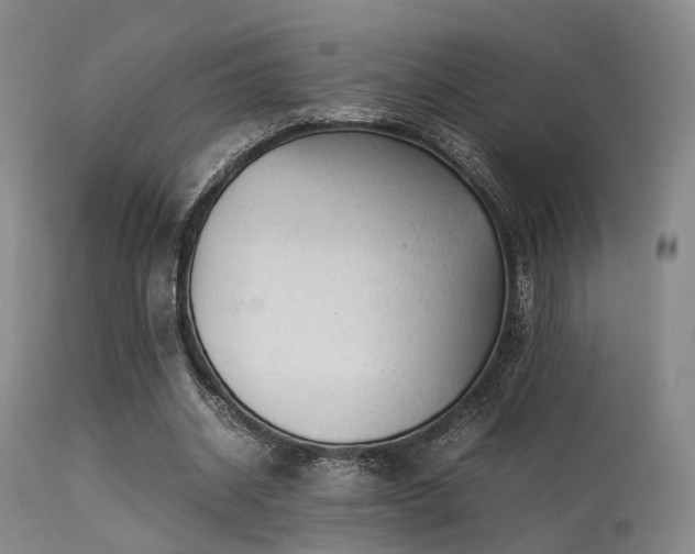 X0000113250534200909171627