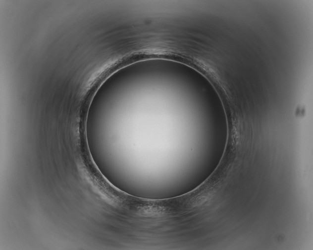 X0000113250535200909171627