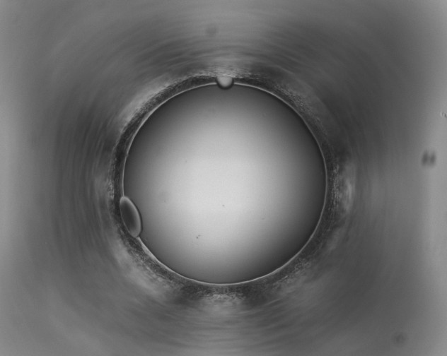 X0000113250536200909171627