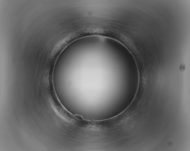 X0000113250538200909171628