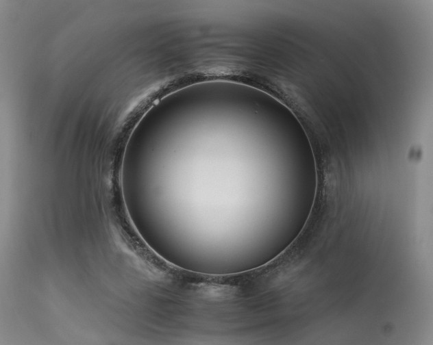 X0000113250539200909171628