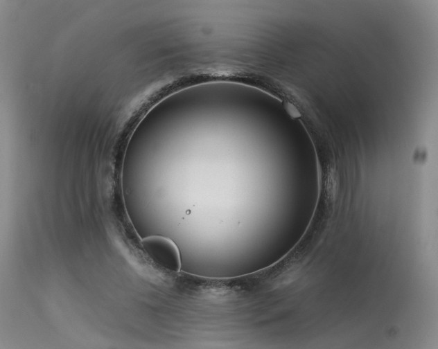 X0000113250540200909171628