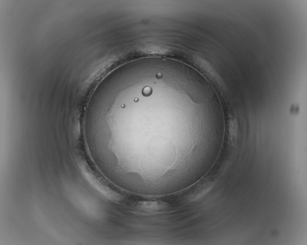 X0000113250541200909171628