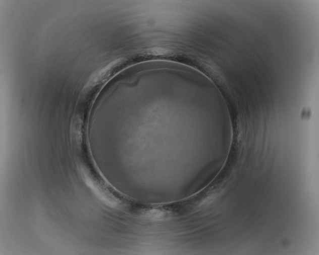 X0000113250542200909171628