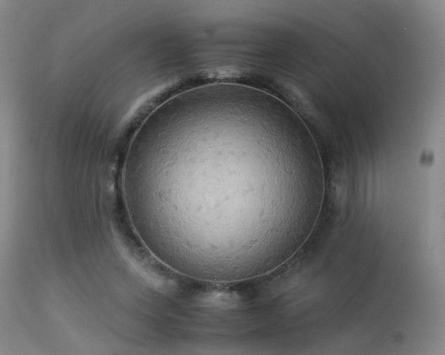 X0000113250543200909171628