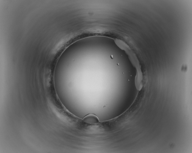 X0000113250544200909171628