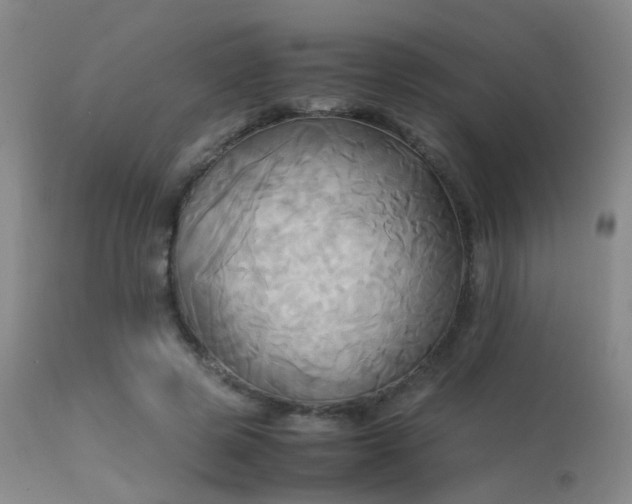 X0000113250545200909171628