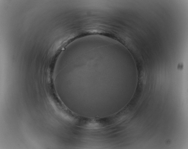 X0000113250547200909171628