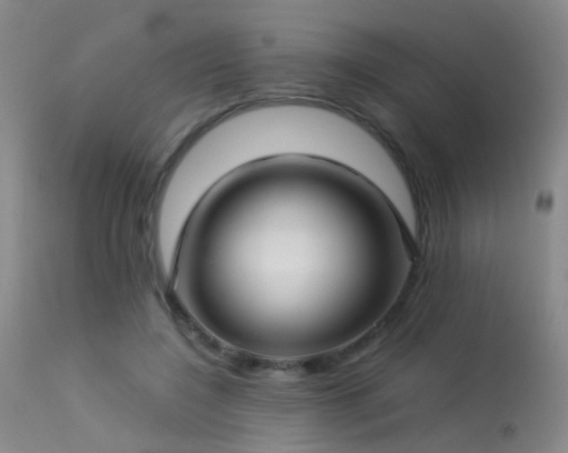 X0000113250548200909171628