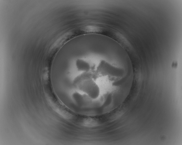 X0000113250549200909171628