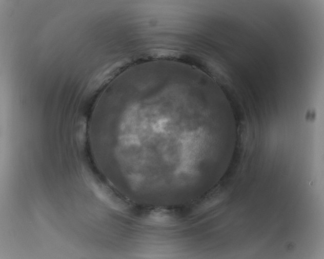 X0000113250550200909171628