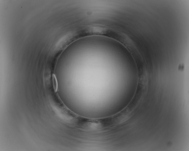 X0000113250552200909171628