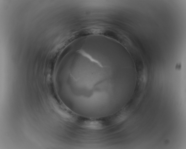 X0000113250553200909171628