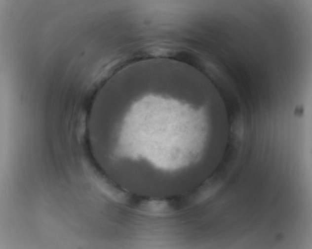 X0000113250554200909171628