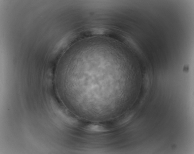 X0000113250557200909171628