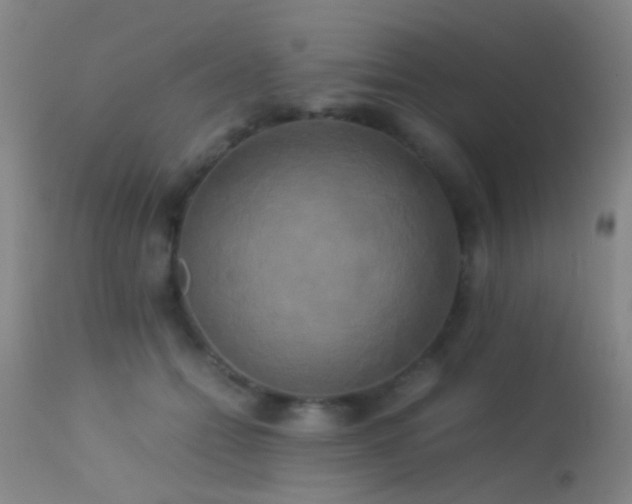 X0000113250558200909171628