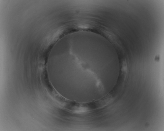 X0000113250559200909171628