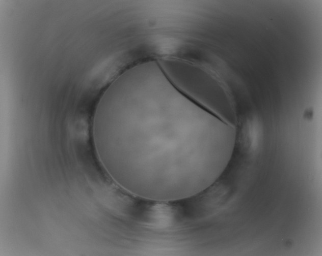 X0000113250562200909171628