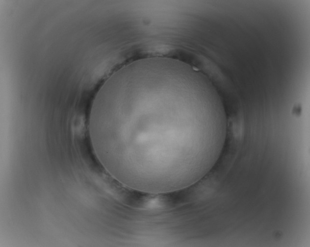 X0000113250564200909171628