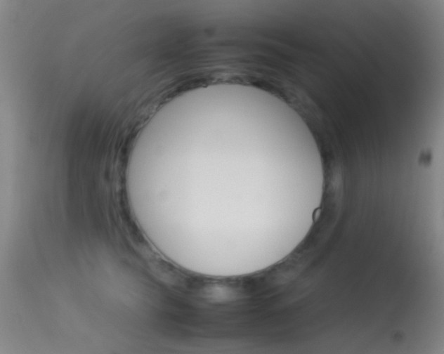 X0000113250565200909171628