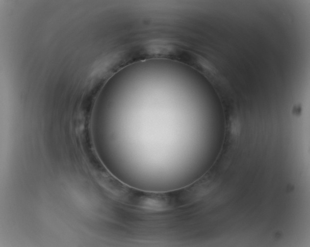 X0000113250567200909171628