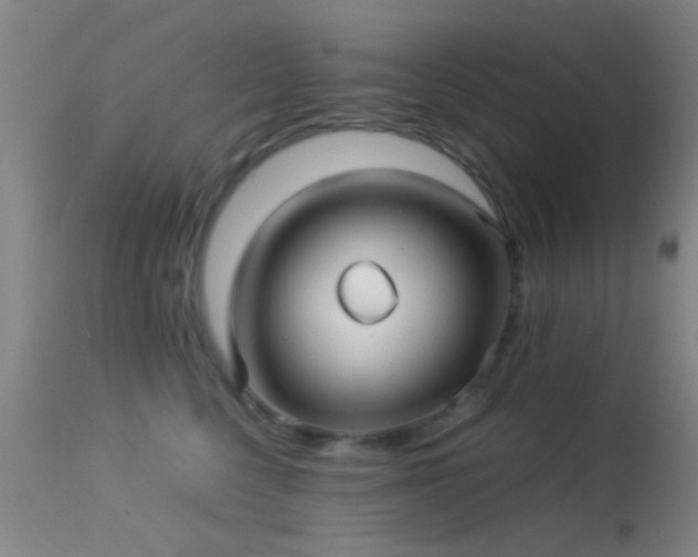 X0000113250568200909171628