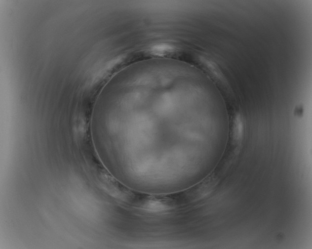 X0000113250569200909171628