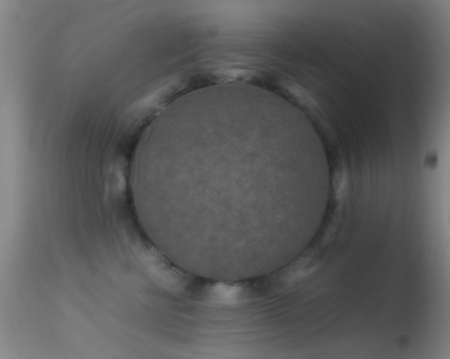 X0000113250570200909171628