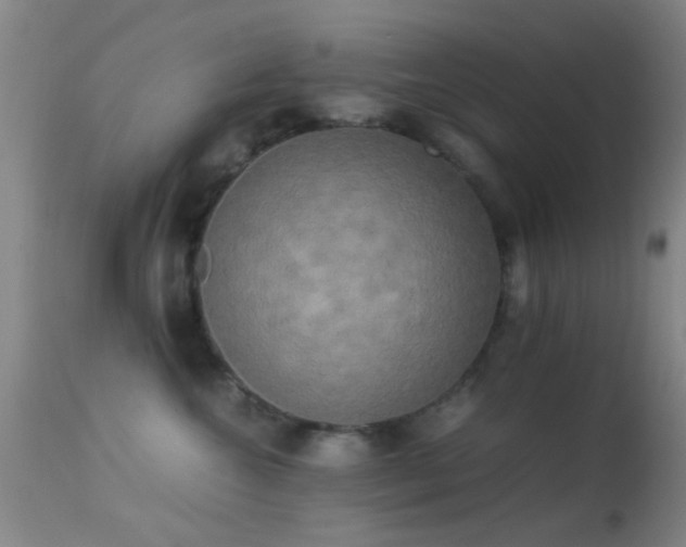 X0000113250572200909171628