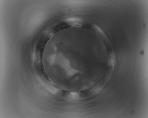 X0000113250573200909171628