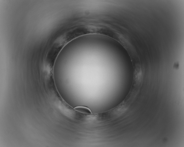 X0000113250574200909171628