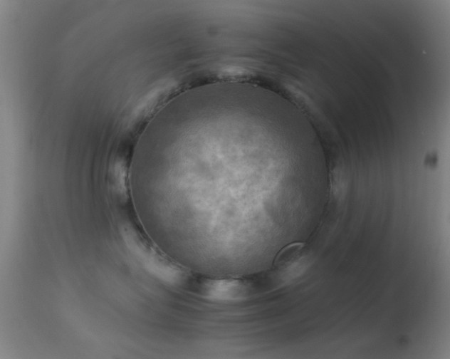 X0000113250575200909171628