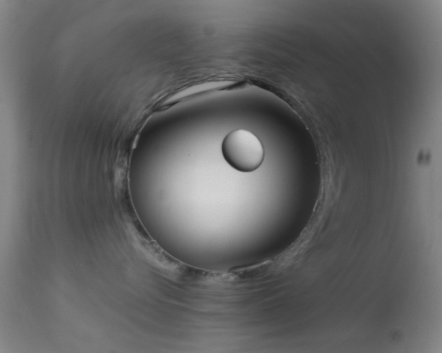 X0000113250576200909171628