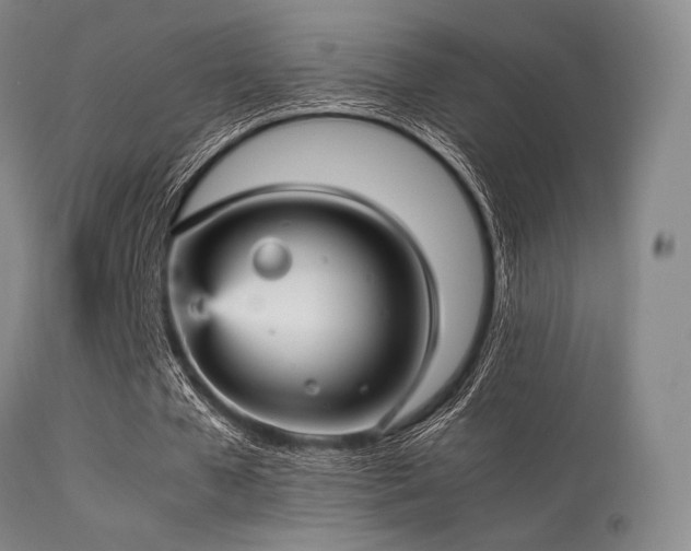 X0000113250577200909171627