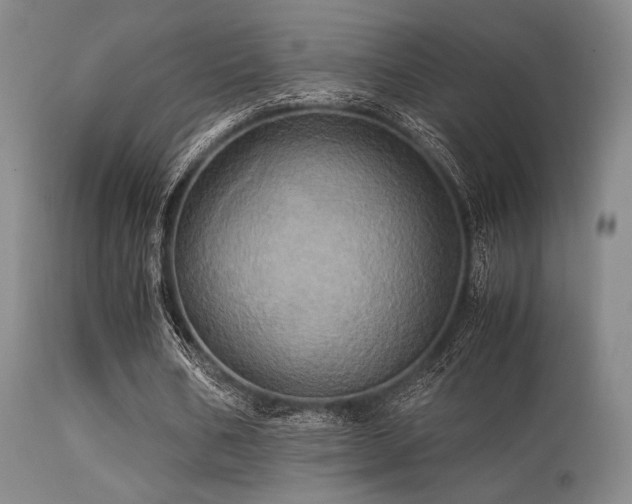 X0000113250578200909171627