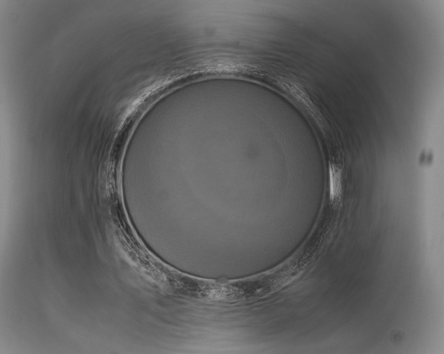 X0000113250579200909171627