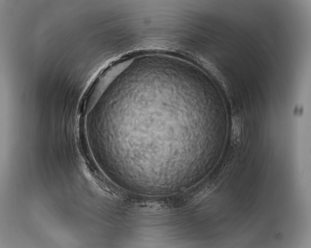 X0000113250580200909171627