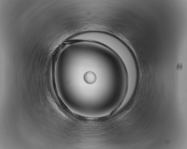 X0000113250581200909171627