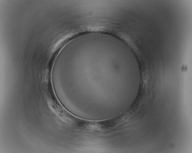 X0000113250583200909171627